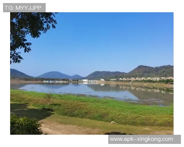 探索足球风云岭森林公园的自然美景与运动激情之旅