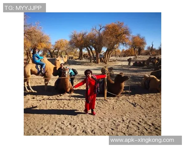 马伊娜足球宝贝的魅力与坚持展现青春活力与梦想追逐的精彩旅程